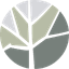 Canopy Carbon Logo