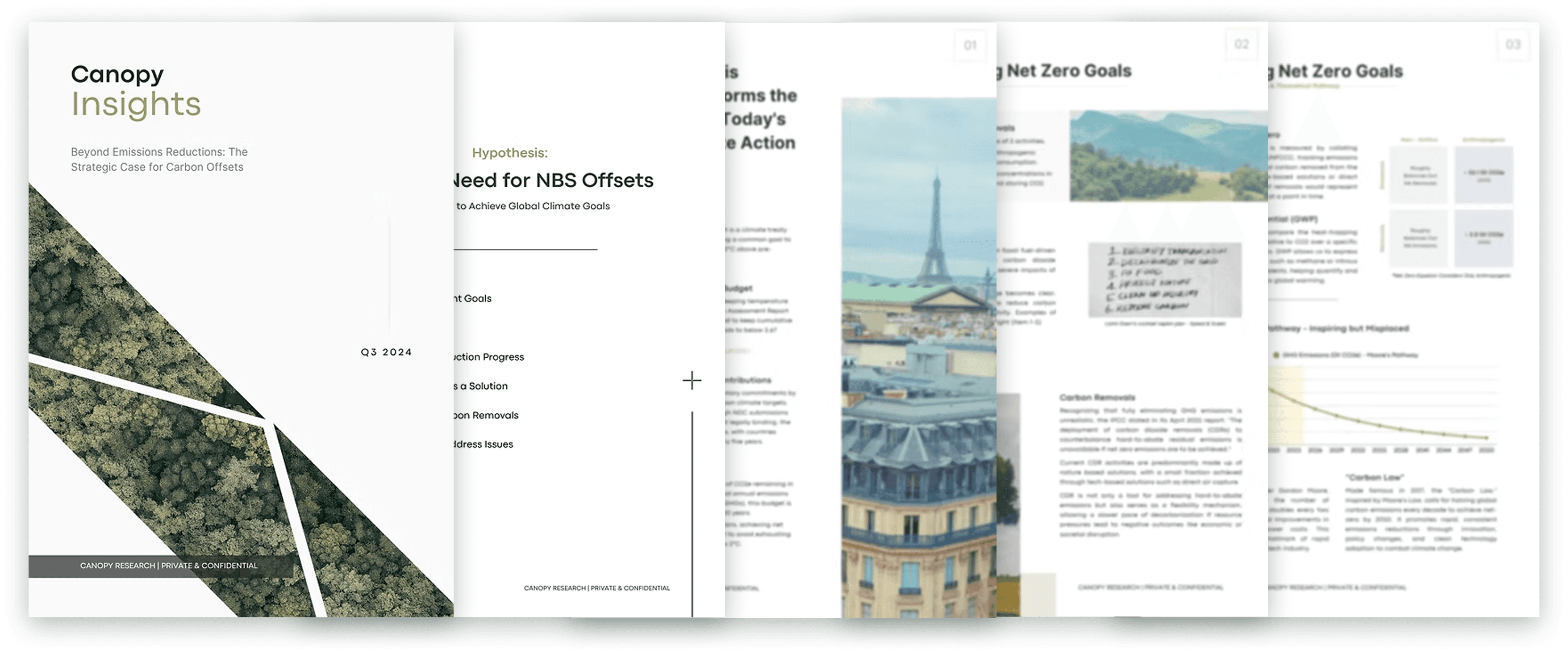 Beyond Emissions Reduction: The Strategic Case for Carbon Offsets