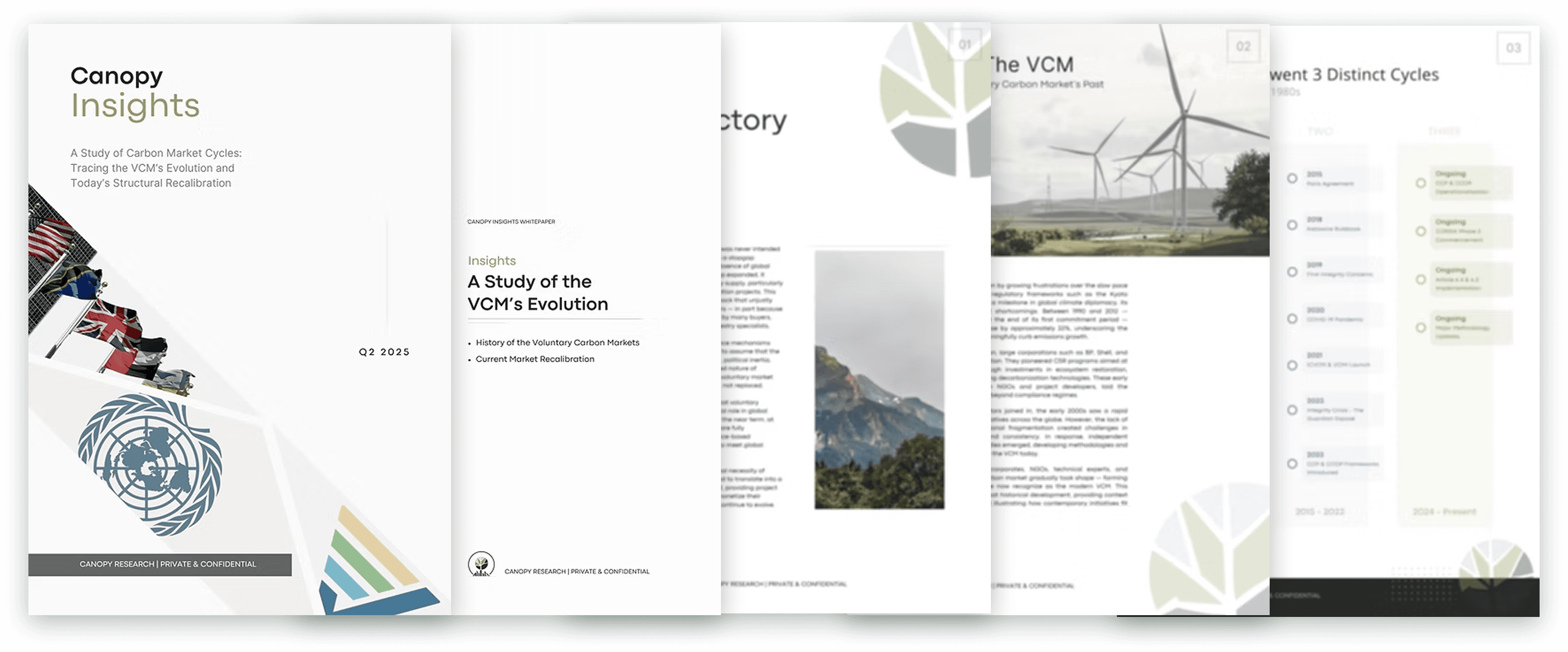 Carbon Market Cycles: Tracing the VCM's Evolution