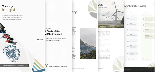 Carbon Market Cycles: Tracing the VCM's Evolution