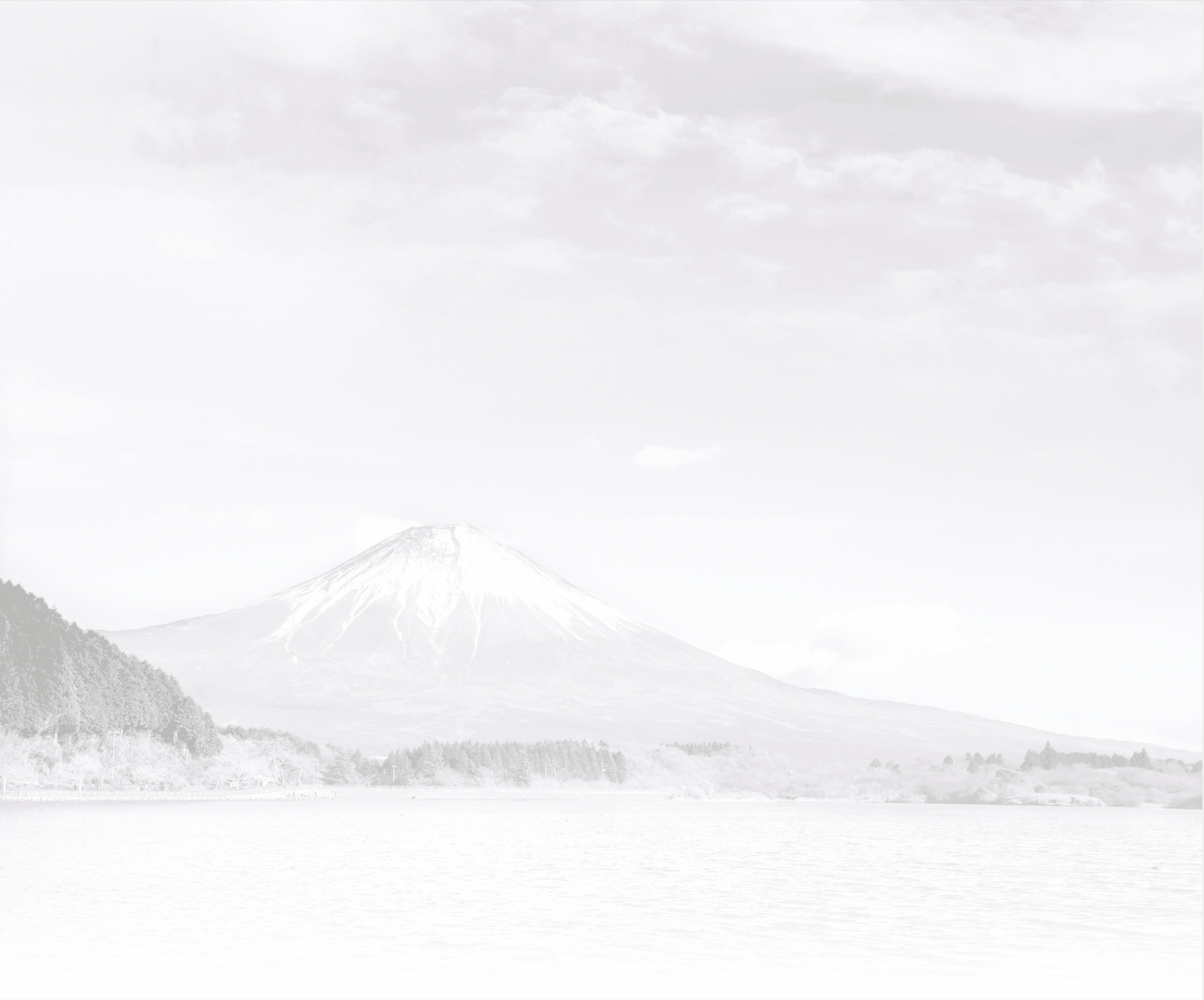 Canopy Insight Banner