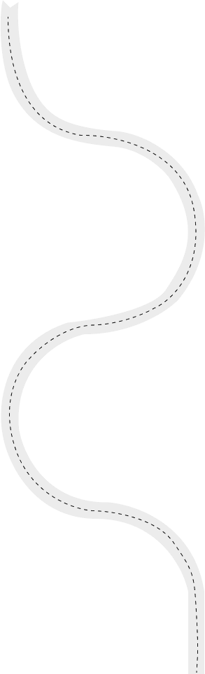 Roadmap path