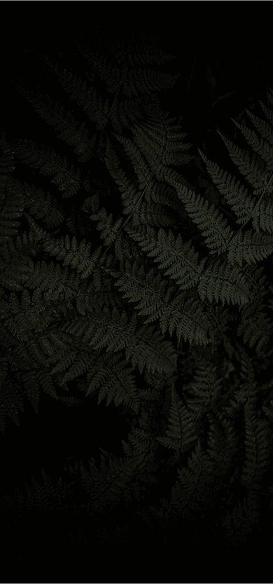 Canopy Carbon mobile background