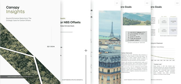 Beyond Emissions Reduction: The Strategic Case for Carbon Offsets