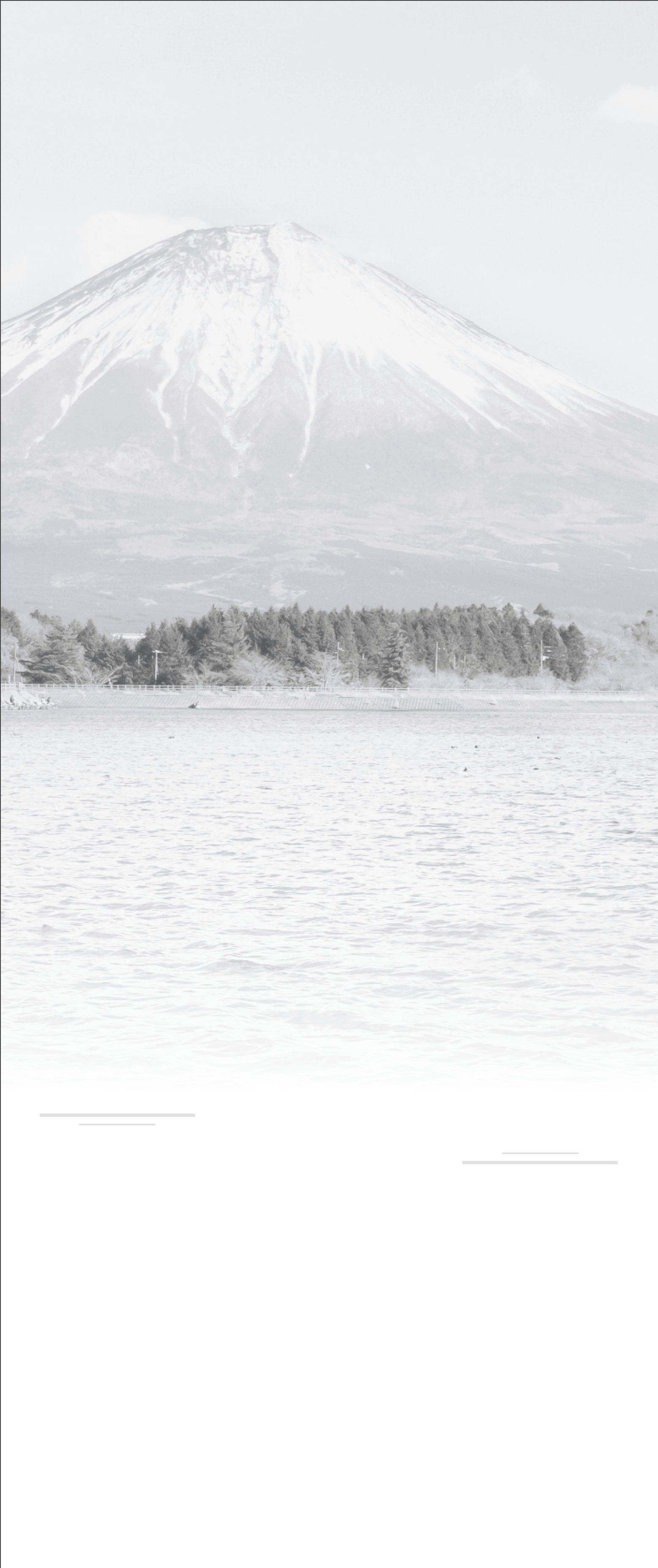 Canopy Insight Banner