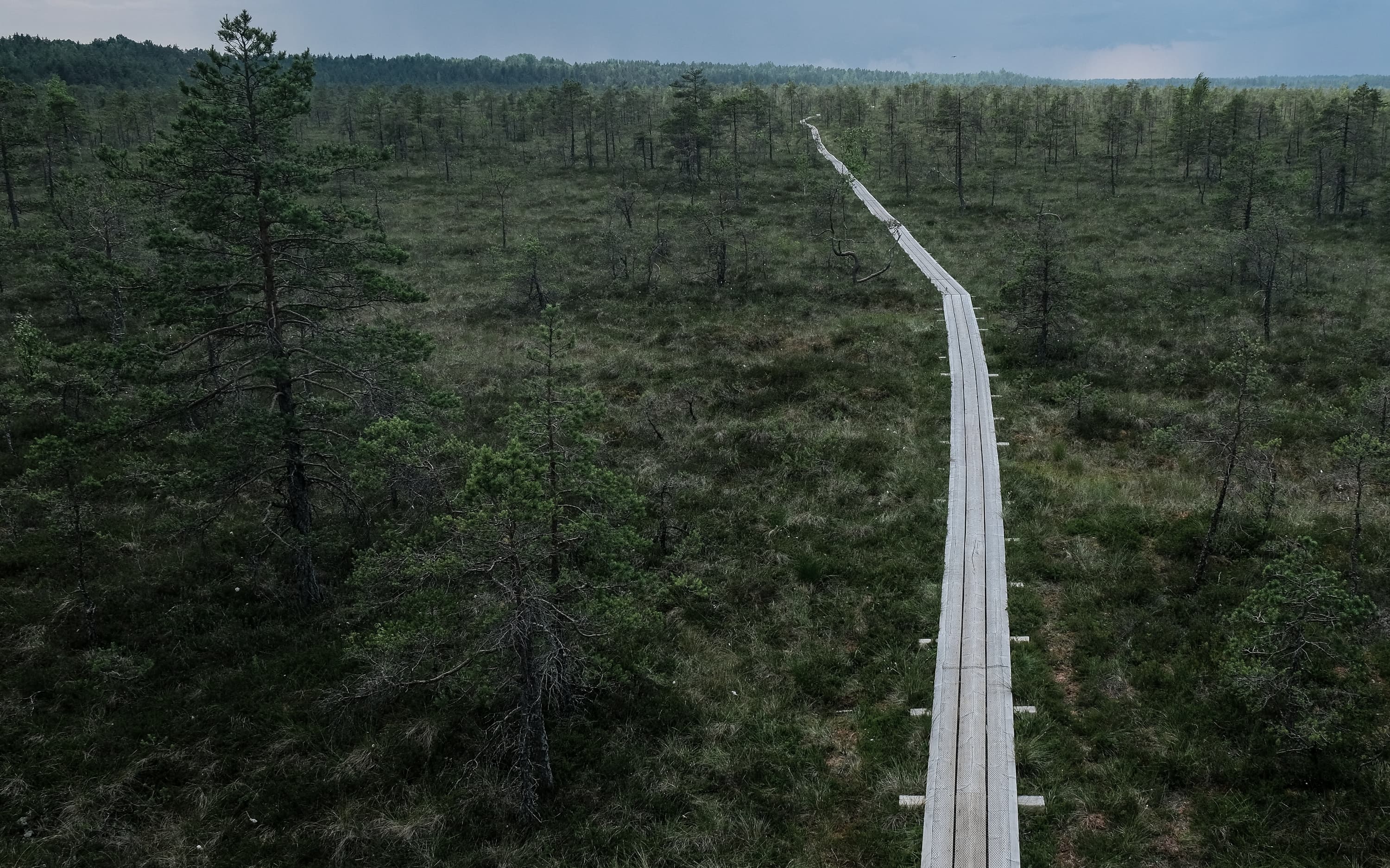 Secondary Banner Background