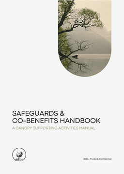 Safeguards & Co-Benefits